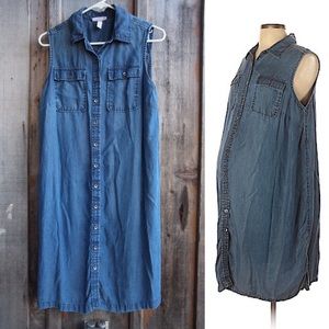 Jean style button-down maternity dress